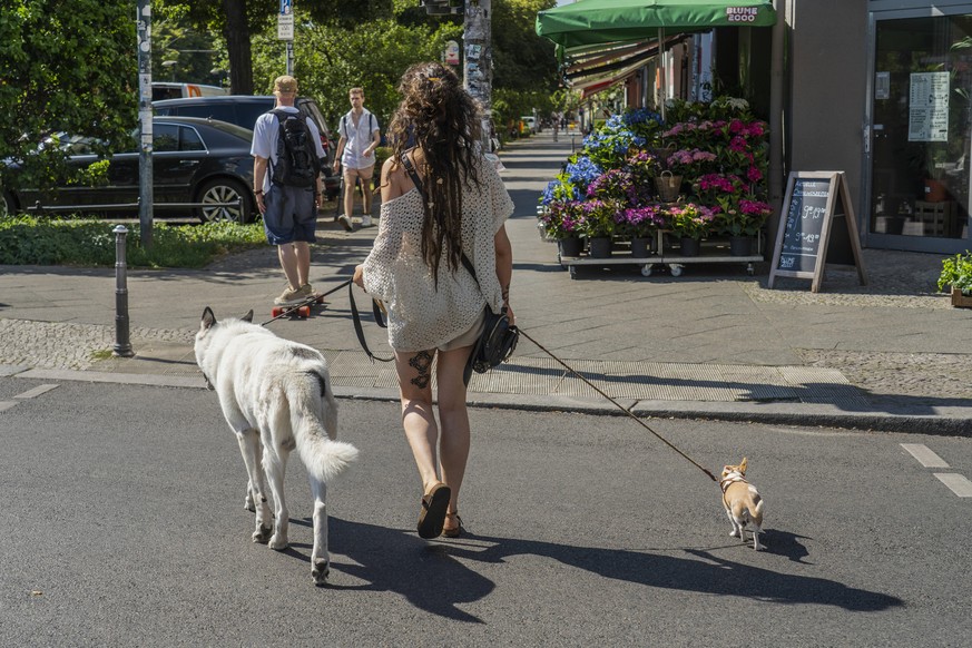 Eine Frau führt einen großen und einen kleinen Hund auf der Prenzlauer Allee in Berlin-Prenzlauer Berg aus. Foto: Volker Hohlfeld Tierliebe *** A woman leads a big and a small dog on the Prenzlauer Al ...