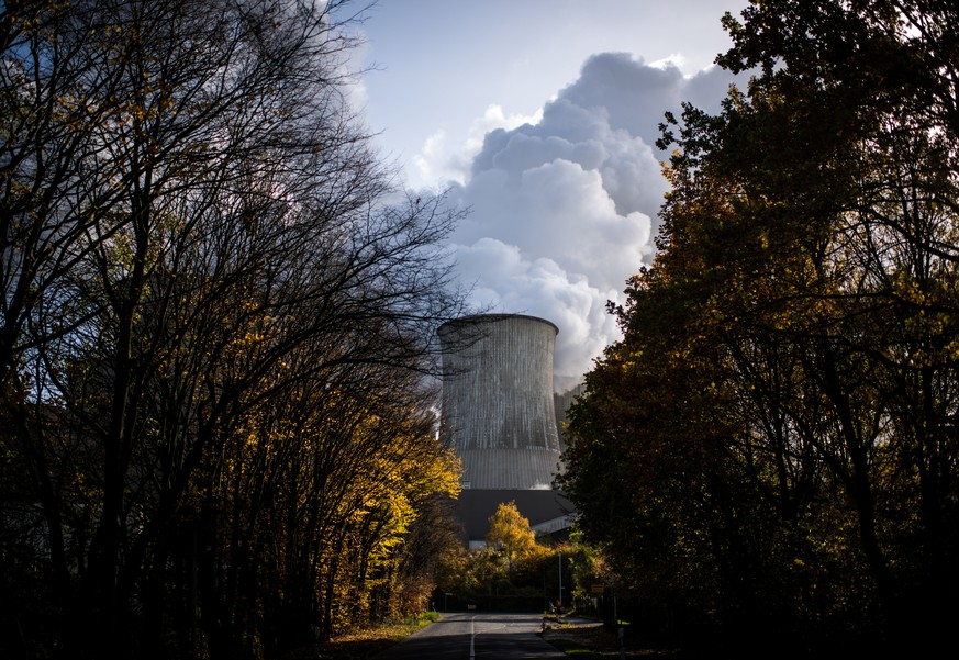 BERHEIM, GERMANY - NOVEMBER 13: Steam rises from the Niederaussem coal-fired power plant operated by German utility RWE, which stands near open-pit coal mines that feed it with coal, on November 13, 2 ...