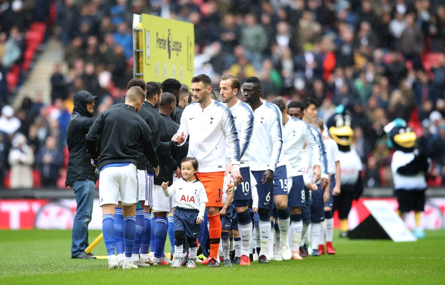 Tottenham Hotspur v Cardiff City - Premier League - Wembley Stadium Tottenham Hotspur players and Cardiff City players shake hands with one another before the match begins EDITORIAL USE ONLY No use wi ...
