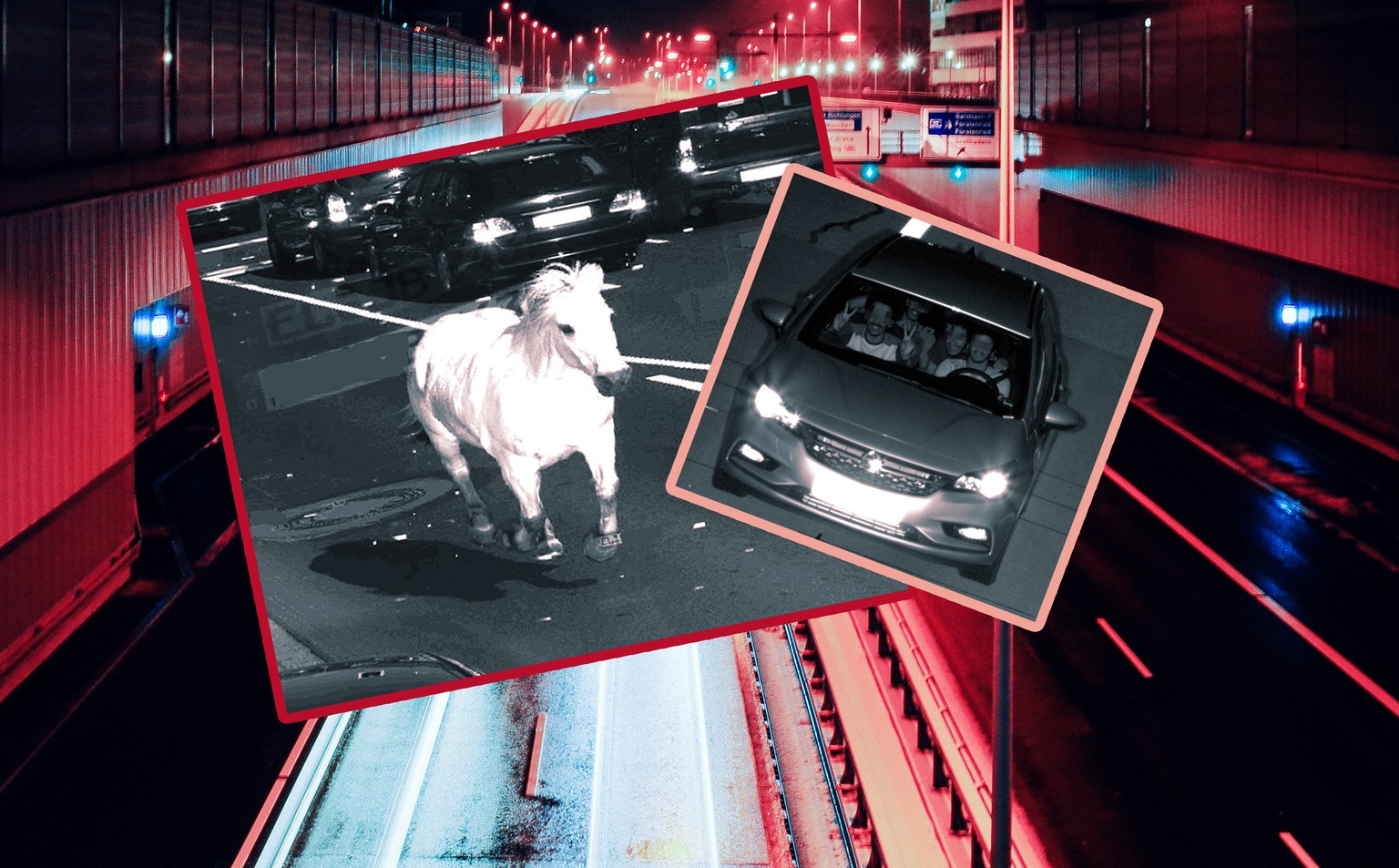 Das Radarfoto, herausgegeben vom Landkreis Emsland, zeigt ein weißes Pferd auf dem Schullendamm in Meppen (Foto vom 01.06.2011). Das Pferd ist bereits am 01. Juni um 16.44 Uhr durch einen Rotlichtvers ...