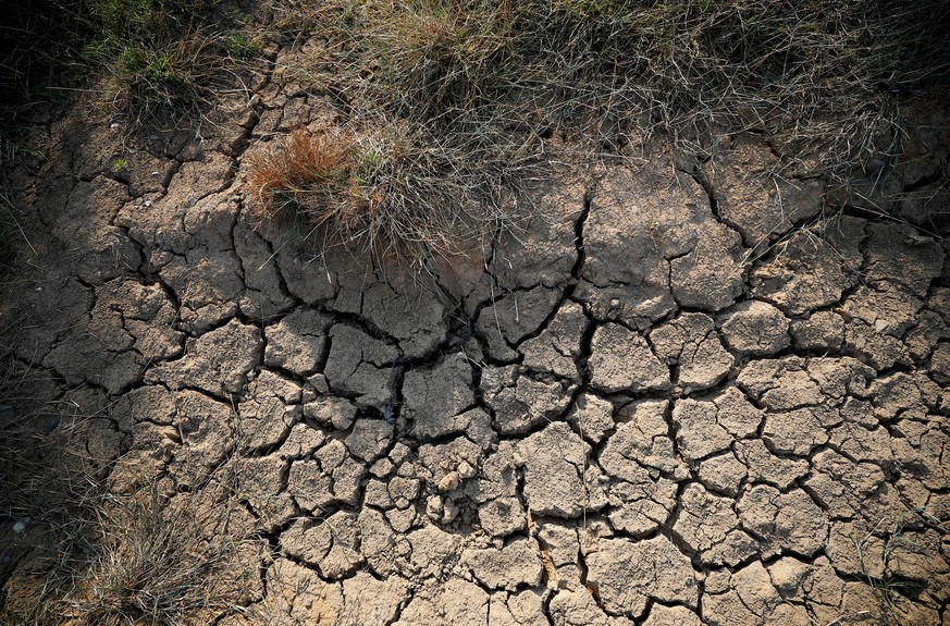 FILE PHOTO: Dry earth cracks in a farmer&#039;s field near Altringham, Cheshire, Britain, July 26, 2018. REUTERS/Phil Noble/File Photo
