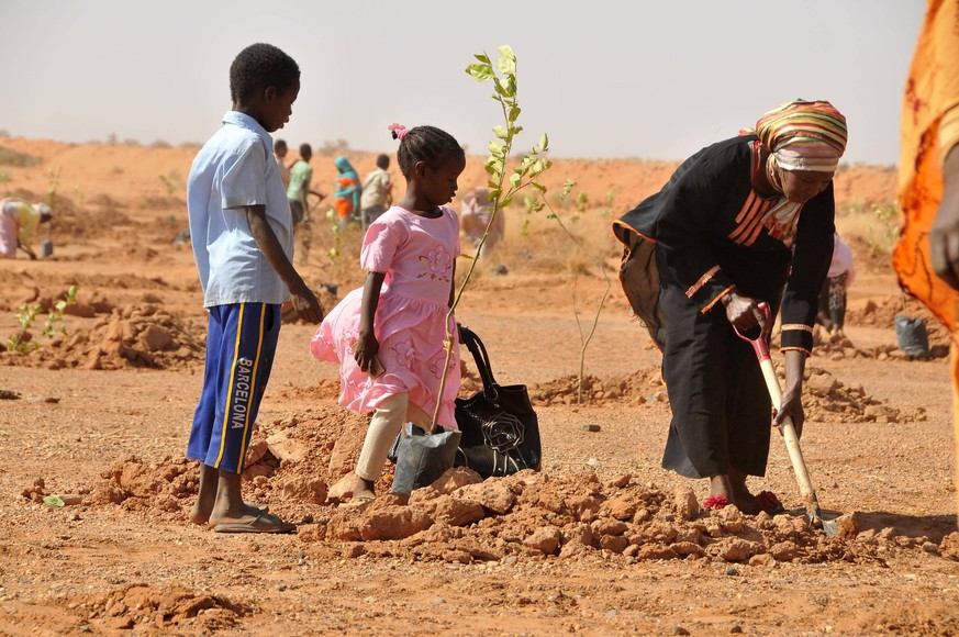 KHARTOUM, Jan. 12, 2017 -- People plant trees on the outskirts of Khartoum, Sudan, Jan. 12, 2017. Sudan s Khartoum State authorities on Thursday started planting around 1,000 trees as part of the stat ...