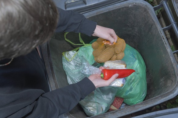 Lebensmittel, Abfall, Mülltonne, Verschwendung, Rettung *** Food, waste, garbage can, waste, rescue