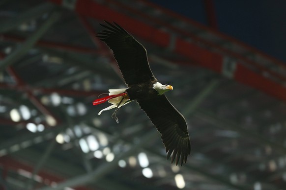 January 20, 2018 - Lisbon, Lisbon, Portugal - Vitoria Eagle Benfica mascote during the Premier League 2017/18 match between SL Benfica v GD Chaves, at Luz Stadium in Lisbon on January 20, 2018. Benfic ...